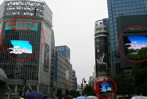 写真　渋谷街頭ビジョンに同時放映されたDVDスポット映像