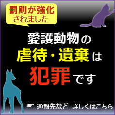愛護動物の虐待・遺棄は犯罪です