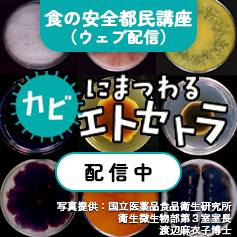 都民講座「カビにまつわるエトセトラ」配信中！