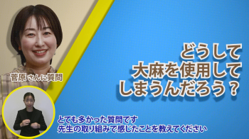 大麻編：弁護士に聞く