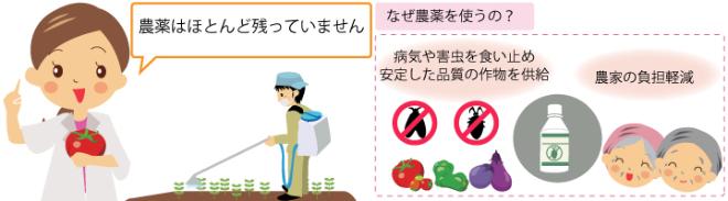 残留農薬に関すること
