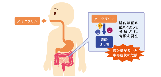 食中毒に関すること