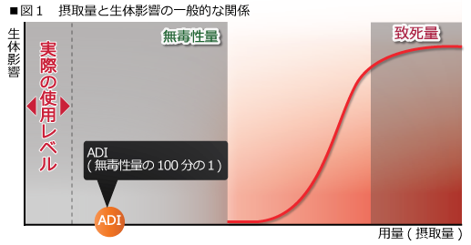 図1　摂取摂取量と生体影響の一般的な関係