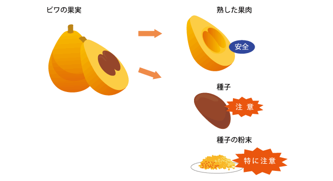 食中毒に関すること