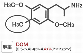 麻薬DOM（2.5-ジメトキシ-4メチルアンフェタン）