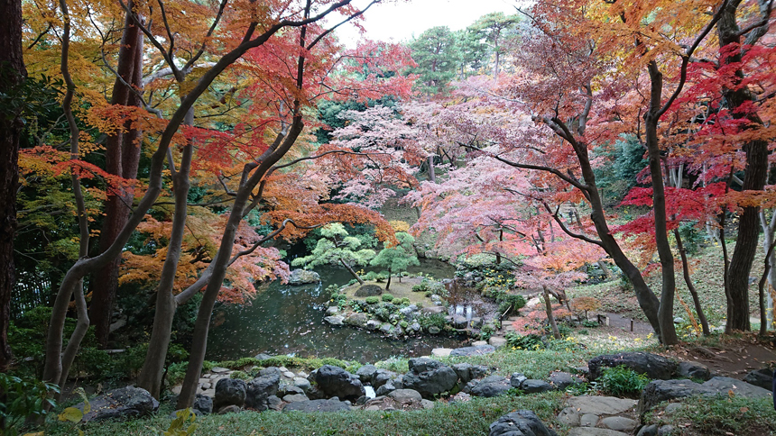 Tokyo Metropolitan Park-Tonogayato Gardens