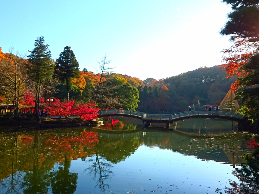 Yakushi Pond