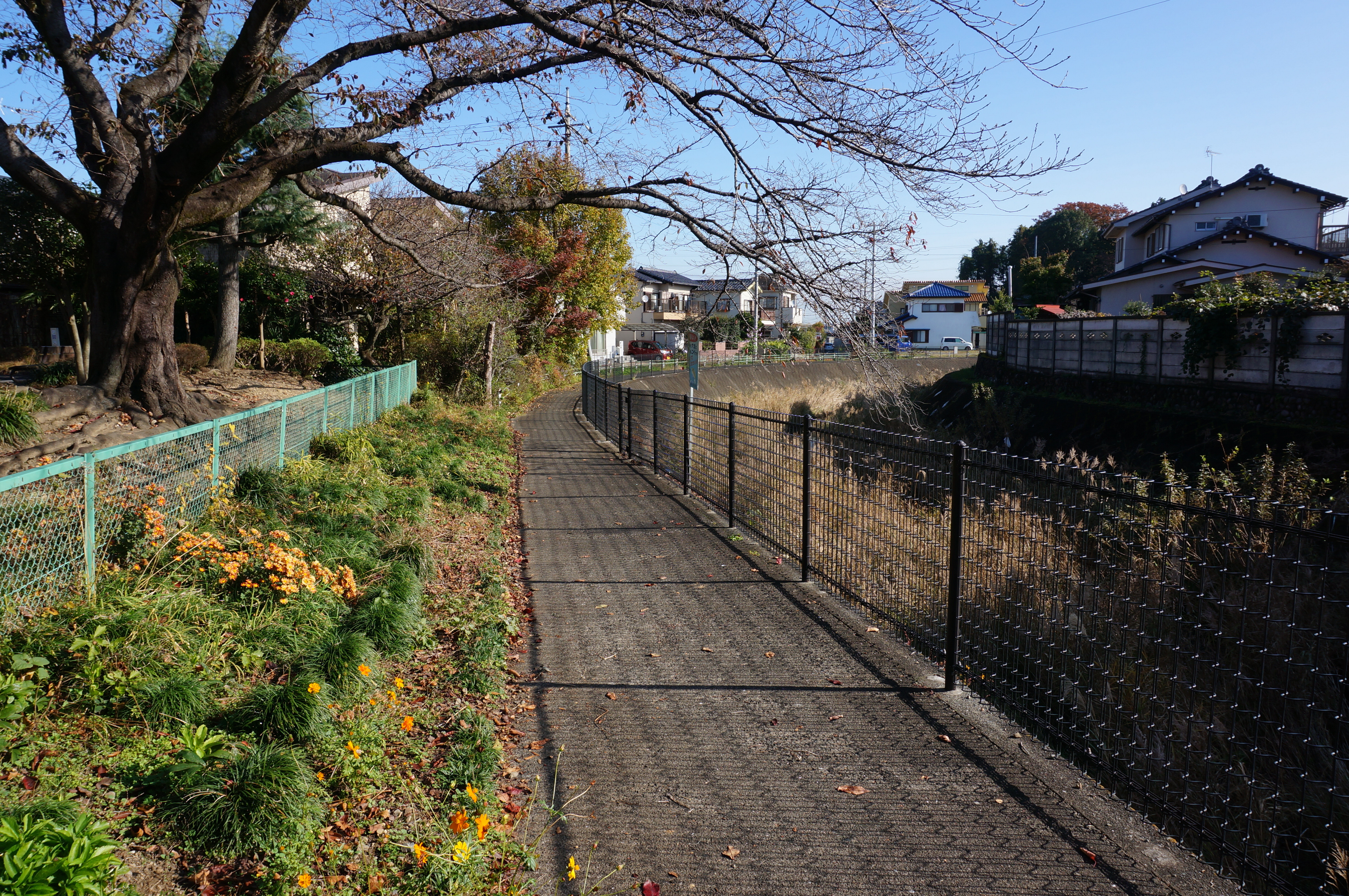 Kasumi River Walking Course
